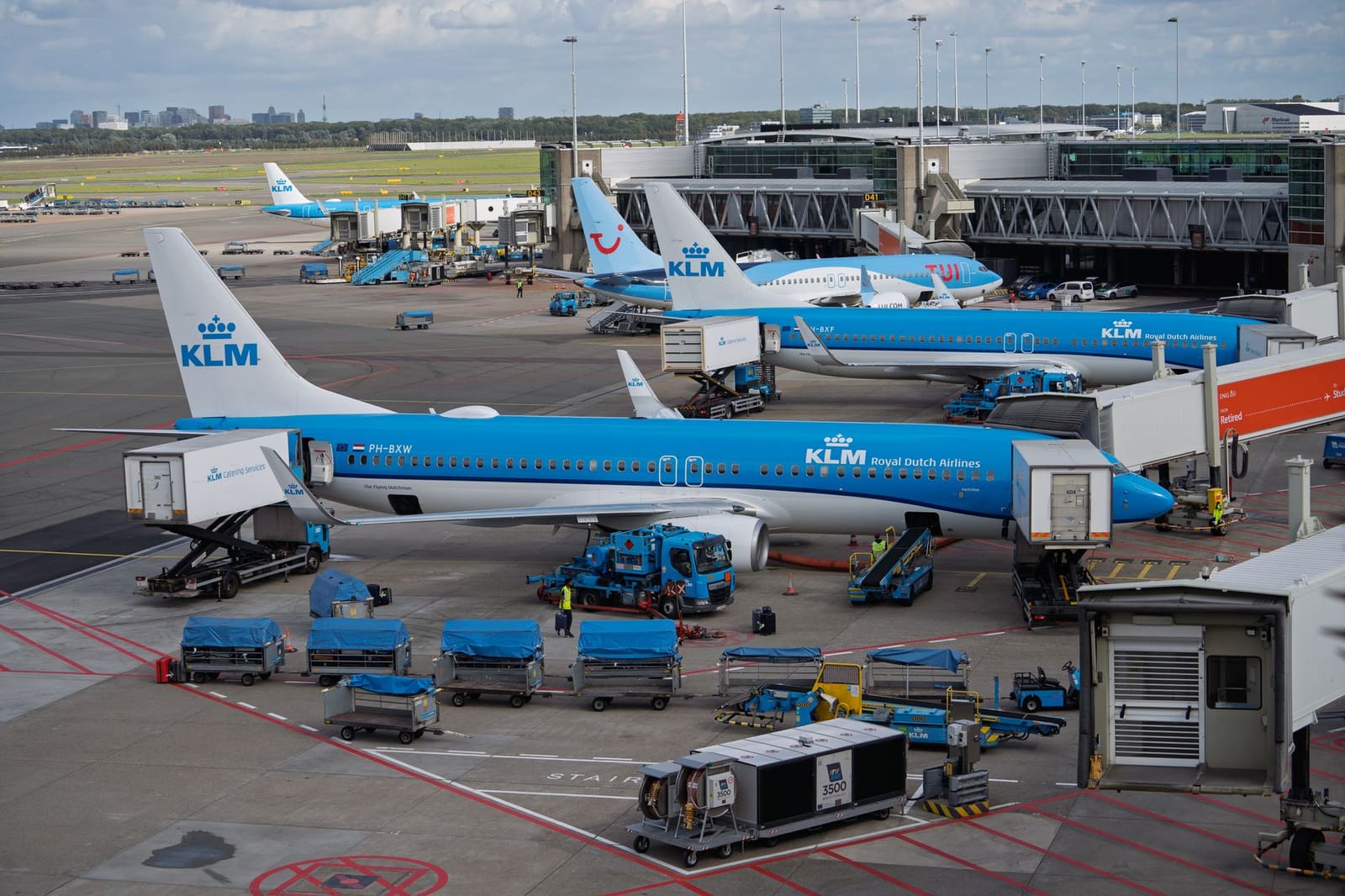 Multiple KLM aircraft at Amsterdam Schiphol Airport terminal with blue ground support equipment.